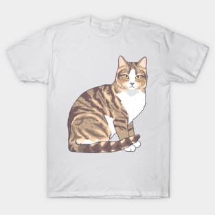 Brown and White Tabby Cat T-Shirt